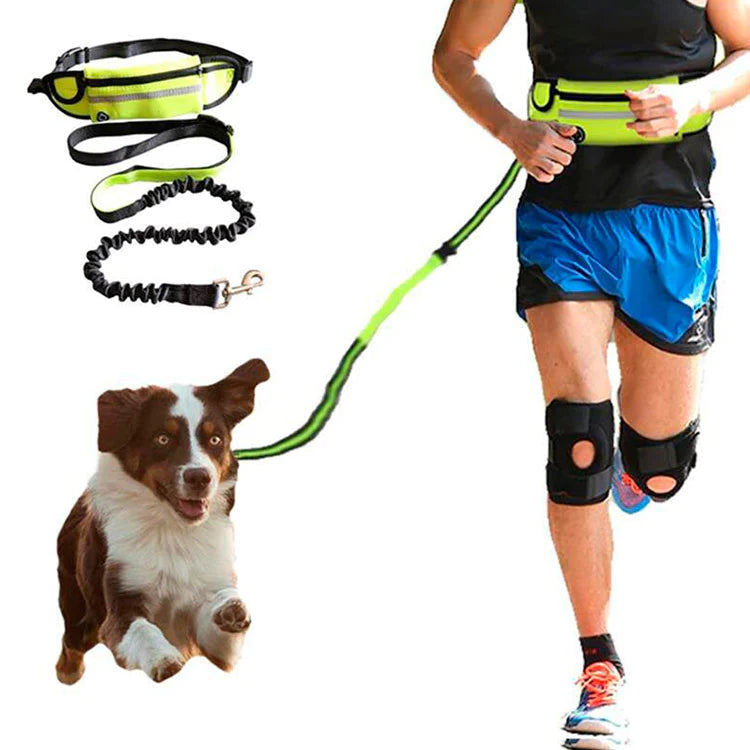 Riñonera para correr con cinturón elástico para mascotas