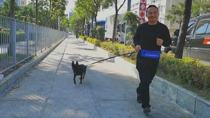 Riñonera para correr con cinturón elástico para mascotas
