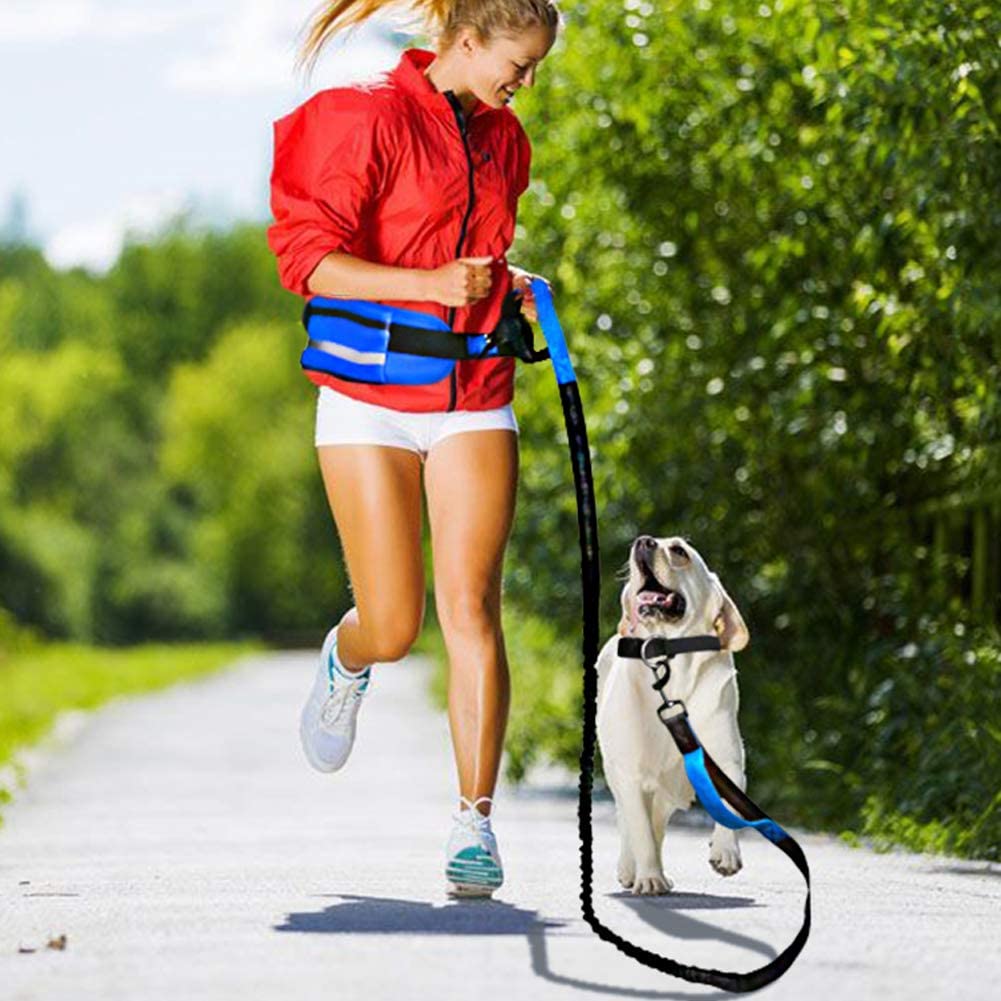 Riñonera para correr con cinturón elástico para mascotas